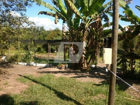 Imagem 6 de 19 de Chácara Em São Pedro - Ch00123 - 69551508