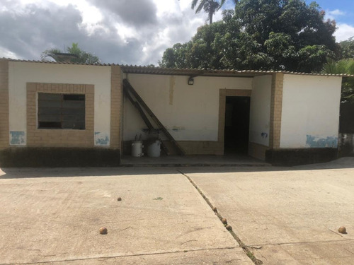 Imagen 19 de 19 de Vendo Granja Avícola Bejuma Dt