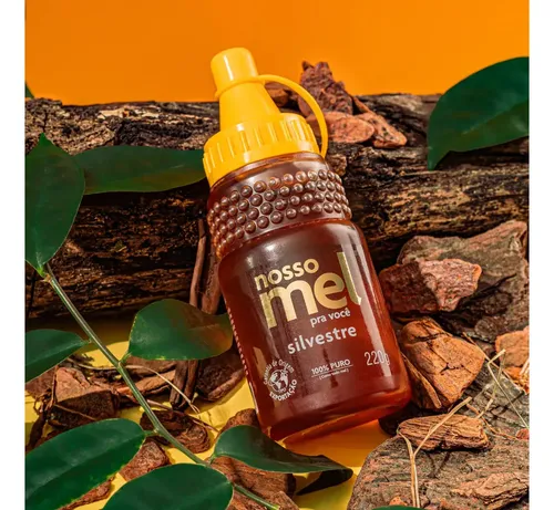 Melbras Nosso Mel Silvestre Sem Glúten 220g Bisnaga Tradicional