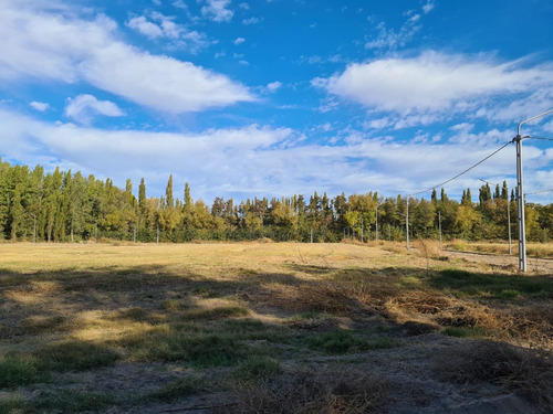 Imagen 3 de 13 de Re/max Vende Terreno En Loteo La Alicia Plottier
