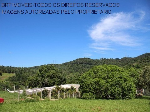 Imagem 18 de 21 de Te00110 - Taipas De Pedra - São Roque - Sp - Te00110 - 33617461