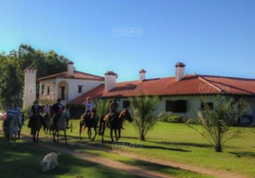 Venta Estancia Terreno Emprendimiento Rural Treinta Y Tres Uruguay