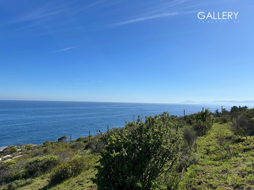 Vista Panorámica Al Mar, Zapallar Norte