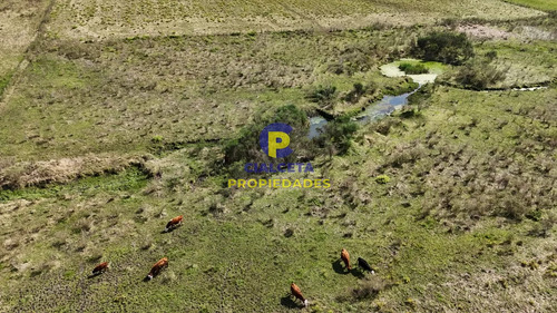 3 Hectáreas En Migues Con Aguada Y Linda Vista