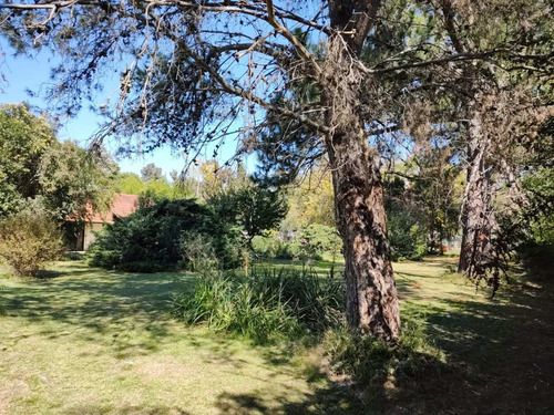 Imagen 12 de 16 de Quinta De 1300 Mts2 Aprox.