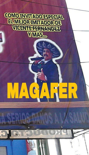 Imagen 5 de 5 de Imitaciones. Cantante Profesional.