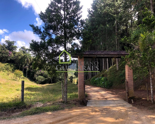 Imagem 16 de 30 de Rancho Queimado Sc - Lindo Terreno Á Venda Com 3 Hectares Em Residencial Fechado - Te00048 - 70795800
