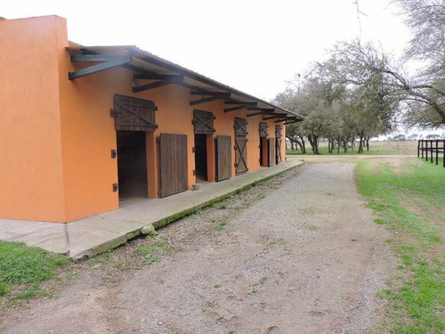 Imagen 19 de 24 de Campo En Venta 50 Has En Punta Indio - Excelente Casco - Ideal Haras