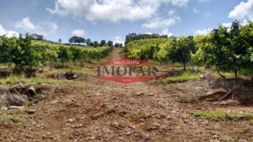 Imagem 14 de 15 de Chacara - Linha Jacinto - Ref: 5862 - V-5862
