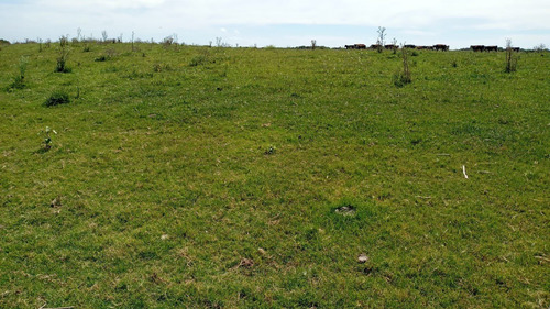 Imagen 9 de 14 de Chacra 5 Has En Madariaga