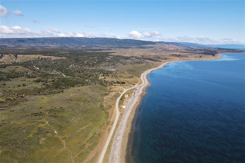 Imagen 8 de 15 de Agrícola En Venta En Punta Arenas