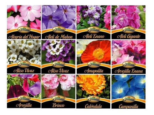 Semillas Florales Combo De 10 Sobres A Elección