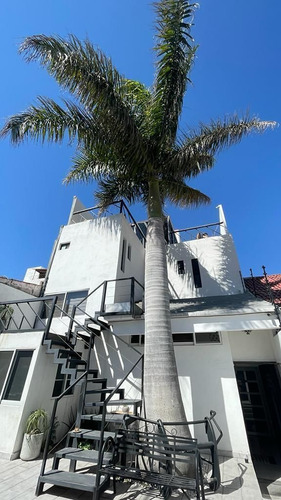 Edificio En Venta En Constituyentes, Querétaro