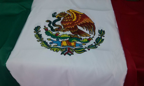 Bandera Mexico Pintada Doble Vista 90x1.58 Mt Razo Reglament