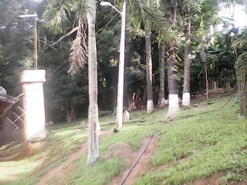 Imagem 20 de 20 de Chacara - Ch00014 - 34330924