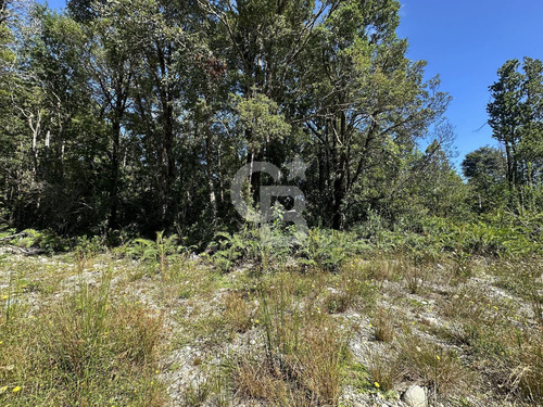 Parcela De Ensueño: Naturaleza Y Comodidad En Chamiza