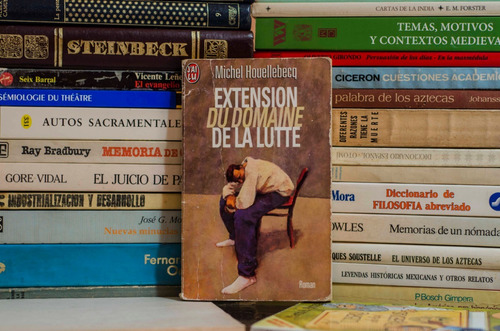 Extension Du Domaine De La Lutte, Michel Houellebecq (Usado)