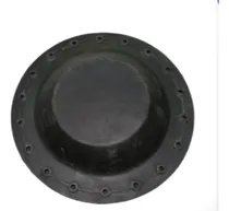 Comprar Frenos De Aire Diafragma Galleta 254mm X18 Ag 