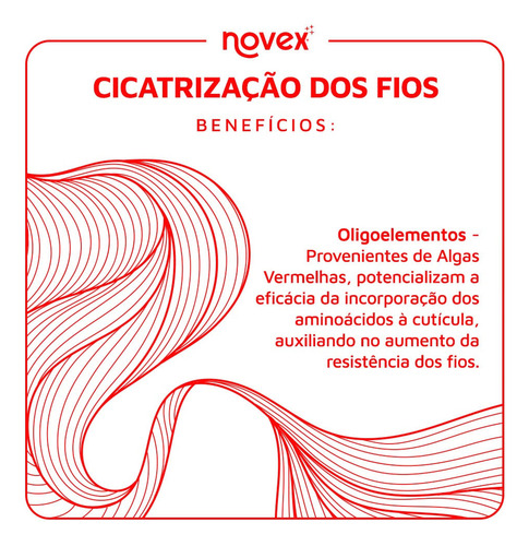 Kit Novex Cicatrização Dos Fios Tratamento Completo