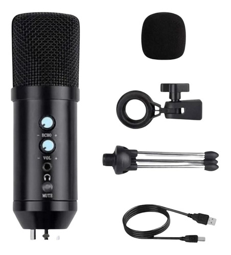 Microfono Condenser Usb Bm-858bp Tripode Antipop Cable 