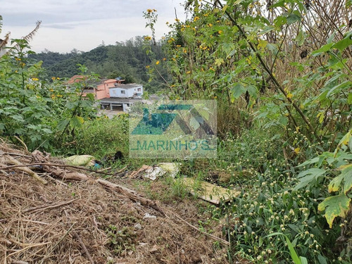 Imagem 2 de 3 de Terreno Para Venda Em Ribeirão Pires, Jardim Luso - 230_1-1458528