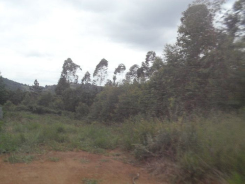 Imagem 6 de 7 de Lote Na Represa | 44849 - 44849