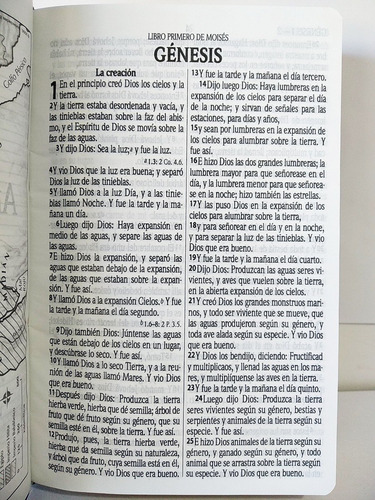 Imagen 5 de 8 de Biblia Rvr1960 Letra Grande Imitación Piel Duotono Azul/café