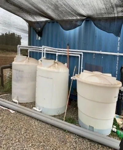Agrícola En Venta En Bulnes - 44 Hectáreas A 27 Km Chillán