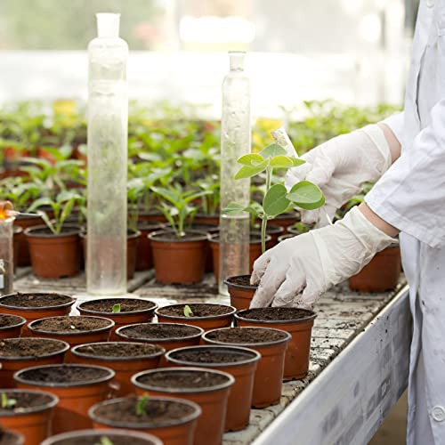 Maceta De Vivero Geosar De 6 Pulgadas A Granel, Macetas De I