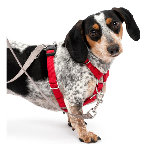 Petsafe Arnés De Ajuste Seguro Grande Rojo