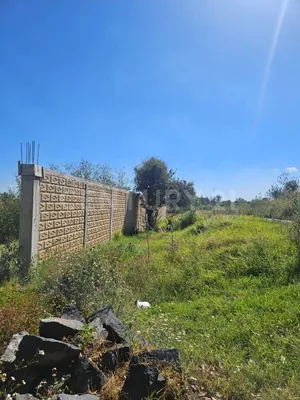 Casa en renta