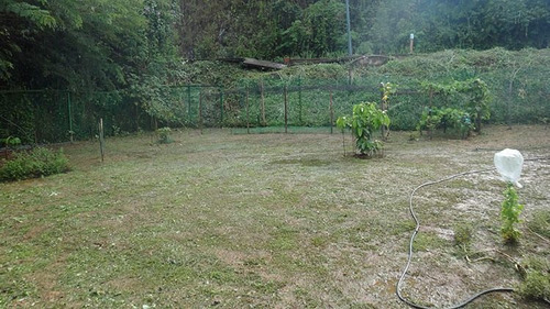 Imagen 10 de 14 de Ramiro E. Ruiz Vende Casa Bosques La Lagunita Mls #22-2341