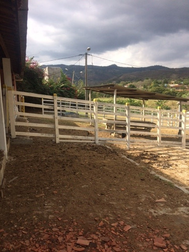 Imagem 7 de 20 de Ótimo Para Empreendedorismo, Fazenda 16 Hec, Rio E 2 Açudes Perene, Agrestina - Fa00007 - 68991513