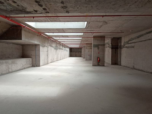 Local Comercial 1° Nivel Edificio Oficinas