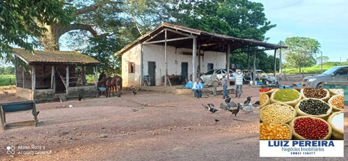 Imagem 9 de 15 de Fazenda À Venda Em Figueirópolis - To - De 114 Alqueirões (dupla Aptidão) - 1672