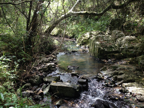 Imagen 4 de 22 de Chacra Campo Turistico 5ha Espectacular En Minas Uruguay