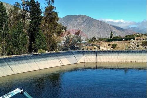 Campo En Venta - Colliguay- Iv Region-paltas
