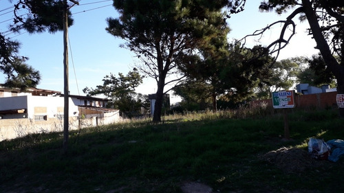 Imagen 5 de 5 de Magnifico Lote En Venta En Villa Gesell 700m2