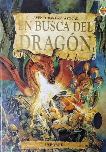 Libro En Busca Del Dragon
