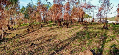Imagem 3 de 15 de Terreno A Venda No Bairro Loteamento Colinas Verdes - Atibaia, Sp - 328