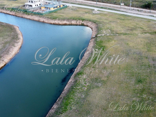 Imagen 4 de 23 de Terreno - La Providencia