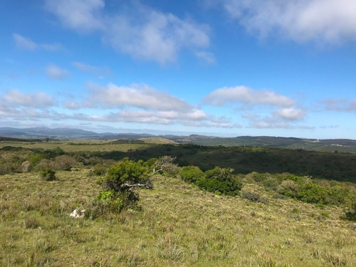 Chacra Completa: Vistas, Campo, Piedra, Monte Y Agua.