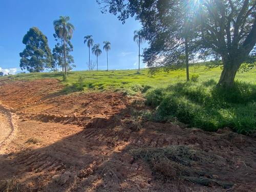 Imagem 21 de 30 de L30- Lotes Barato