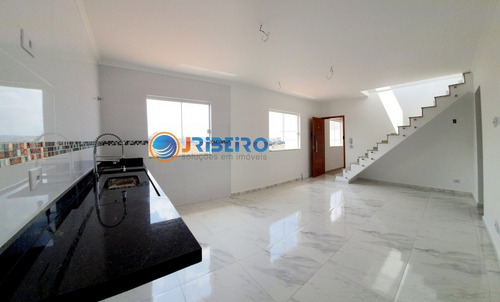 Casa Em Condomínio Próximo Ao Metrô Tucuruvi 2 Dormitórios 1 Suíte 1 Vaga Espaço Gourmet Em Parque Vitória São Paulo-sp - 220005