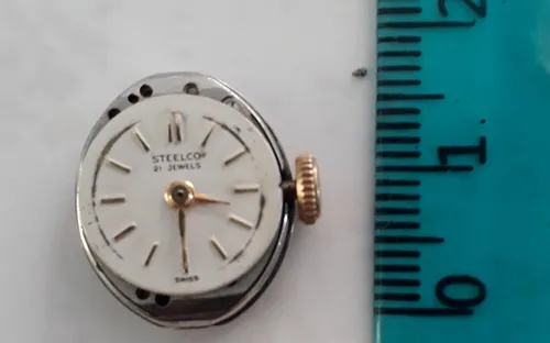 Reloj steelco 21 jewels sale