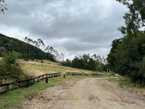 22384 - Parcela A Orillas De Río Maullín