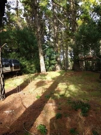Imagen 4 de 7 de Terreno En Venta En Mar De Las Pampas