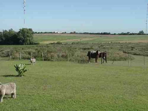 Campos O Chacras Venta Colonia Del Sacramento