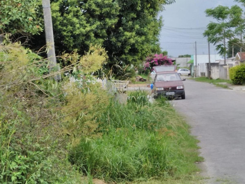 Imagem 8 de 8 de Terreno Para Venda Em São José Dos Pinhais, Bairro Martins - 3305_1-1737167