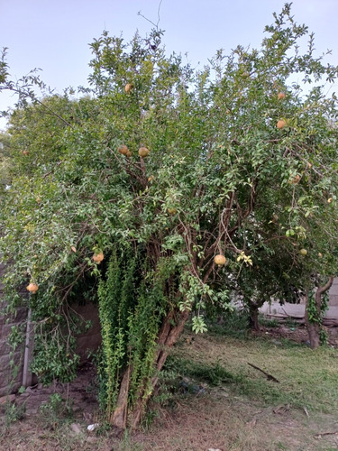 Terreno En Sauce Viejo